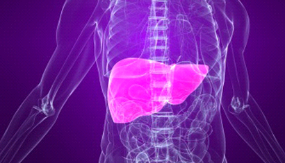 Liver, Kidney, Detoxification