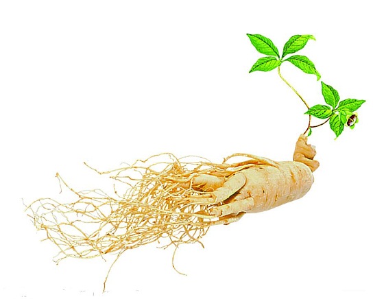 10 TÁC DỤNG THẦN KỲ CỦA NHÂN SÂM VỚI SỨC KHỎE